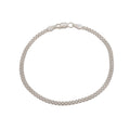 P China 3 mm 19.5 Cms